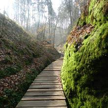 We did not find results for: Rundwanderweg Schluchtentour Bei Eisenach Thuringer Wald Wanderung