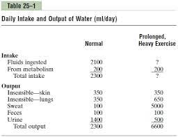 Fluid Intake And Output Are Balanced During Steady State Conditions