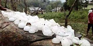 Image result for nagaland images