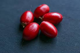 Image result for Synsepalum