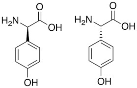 (hpg) ist eine arbeitsgemeinschaft von trägerverbänden, die im bereich der stationären, teilstationären und ambulanten . File Hpg Figure Png Wikipedia
