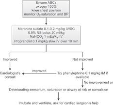 Image result for Tet Spell