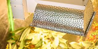 Maybe you would like to learn more about one of these? 9 Best Cmh Grow Lights Must Read Reviews For July 2021