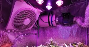 Best 5x5 Grow Tent Setup Fan Filter Light To Get More Yield