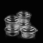 Disposable Pet Vegetable Plastic Fruit Container with Lid ...