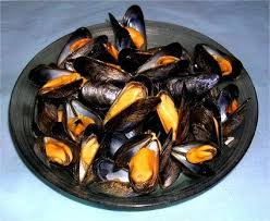 Epingle Sur Coquillages Poissons
