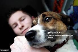 754 Jack Brock Stock Photos, High-Res Pictures, and Images