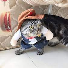 Funny Cat Outfits Pet Dog Cat Halloween Costumes West Cowboy Uniform Pet Suits For Hollaween Thanksgiving Cat Outfits Pets Cat Halloween Costume Cat Clothes