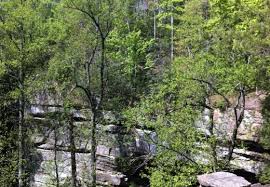 Browse the user profile and get inspired. Koomer Ridge Campground Pixel S Travels