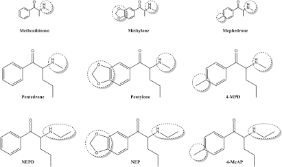 Structural Comparison of Pentedrone and NEP (N-Ethylpenthedrone), AI generated