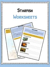 starfish facts information and worksheets teaching resources