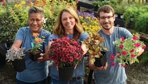 Check spelling or type a new query. Best Of 2020 In Roseville Granite Bay Rocklin Readers Choice Awards Style Magazine