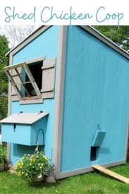 Principles of design durability & comfortable durability_insulation_ventilation_easy to clean. Shed Chicken Coop Ana White