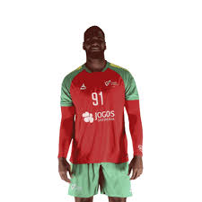 Conta oficial da federação de andebol de portugal #heróisdomar #fazeracontecer www.fpa.pt. Ehfeuro Sticker By Federacao De Andebol De Portugal For Ios Android Giphy