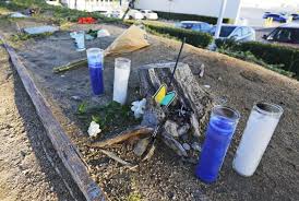 Here's a look at his career through the years. Fans Visit Site Of Paul Walker Crash