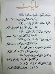 pin on basra hameed