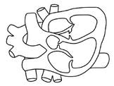 Free heart anatomy coloring pages, worksheets, labeling charts and more. Human Heart Coloring Worksheets Teaching Resources Tpt