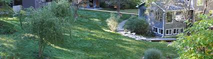 About No Mow Lawn Seed Mix Prairie Nursery Research front yard landscapingbrowse photos and get front yard design ideas.