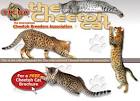 Cheetoh Cat Breed Information - Kittens For Sale - Cat ...