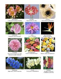 Maybe you would like to learn more about one of these? I Love The Idea Of Bouquets Designed To Say Something Here Is Page One Of Common Flowers And Their Meanings Flower Meanings Alstroemeria Delphinium