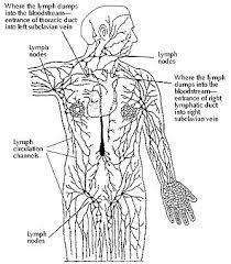 Pin On Medical Research Info
