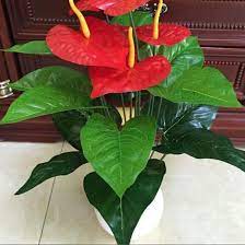 New 18 Heads Artificial Flower Small Potted Plant Silk Suit Large Potted Anthurium Office Decoration Bonsai W Anthurium Flower Plant Crafts Small Potted Plants