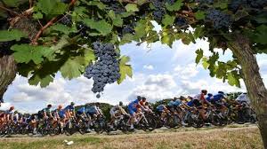 Amazing castles & wines of germany (land only) 7 nights. Deutschland Tour Im Ersten Sportschau Ard Das Erste