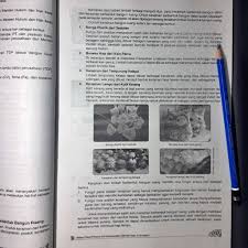 Jawaban lks matematika kelas 11 semester 1 kurikulum 2013. Kunci Jawaban Lks Prakarya Kelas 11 Semester 1 Kurikulum 2013 Cara Golden