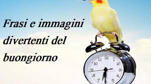 13 apr | canale 5. Buongiorno Divertente 112 Frasi E Immagini Spiritose Di Buona Giornata Da Condividere Aforismi E Citazioni