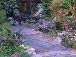 It can always be divided one more time. A Low Maintenance Garden Ramblin Through Dave S Garden