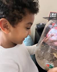 Lisa Rapp's Instagram, Twitter & Facebook