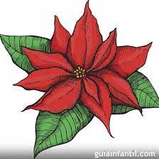 Cómo dibujar un tulipán cómo dibujar flores dibuja conmigo dibujos de flores. La Flor De Nochebuena Leyenda Navidena De Mexico Flor De Nochebuena Acuarela De Navidad Dibujos De Nochebuenas