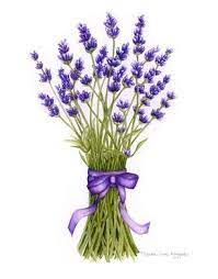 Lavender Art Szukaj W Google Flowers Pinterest Flower Painting Lavender Paint Watercolor Flowers