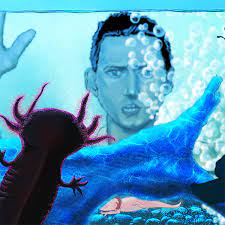 The question and answer section for julio cortazar: Escena Animada Axolotl De Julio Cortazar Domestika