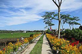 Ayo lebih bijaksana lagi menggunakan plastik untuk bumi yang lebih baik. Https Travel Kompas Com Read 2019 07 03 160700627 Bukit Lintang Sewu Pilihan Glamping Di Yogyakarta Https Asset Kompas Com Crops Jmlbr7g Qf Maxcvu Ir2f1eaya 0x0 1068x712 750x500 Data Photo 2019 07 03 1469988768 Jpeg Tenda