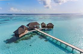 An overwater bungalow combines luxury and seclusion like no other accommodation. Best Kid Friendly Over The Water Bungalows Family Traveller Usa