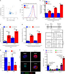 H3k9 Methyltransferases And Demethylases Control Lung Tumor