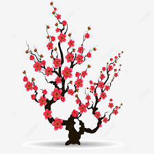 A dwarf variety will produce 50 to 100 pounds of fruit per year. Apricot Blossom Element For Chinese New Year Apricot Blossom Apricot Asia Png And Vector With Transparent Background For Free Download