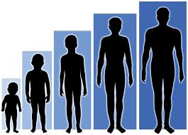 Most girls dream of being tall and are obsessed about their heights. Is It Possible To Increase Your Height After 18