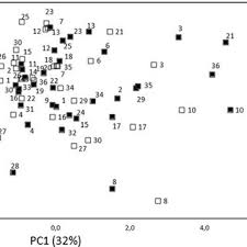 Image result for Psorospermum mechowii
