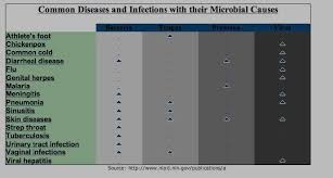 Check spelling or type a new query. Disease Causing Micro Organisms Safe Drinking Water Foundation