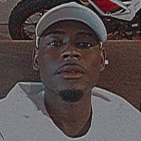 10+ "Steve Ferrin" profiles