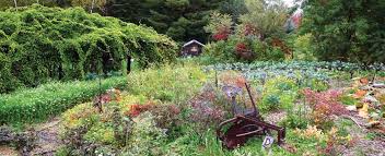 Read reviews from world's largest community for readers. Perennial Vegetables Mother Earth News