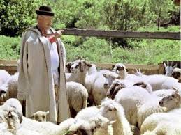 În condițiile crizei coronavirus, agenția națională de zootehnie și agenția de plăți. Subventii Mai Mari Pentru Crescatorii De Animale In Acest An