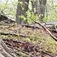 Nature Walk for All Abilities event in Abingdon, MD