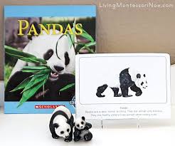 Learning activities for favorite children's books: Free Panda Printables And Montessori Inspired Panda Activities