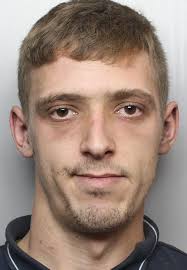 Cannabis producer who armed himself with stun gun to protect £15,000 crop  in Shipley jailed for seven years