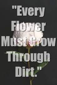 Check spelling or type a new query. 40 Important Bible Verses About Flowers Blooming Flowers