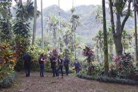 Joey, rory, heidi, hopie, casey and indiana. Hawaii Five 0 Legenden Sat 1