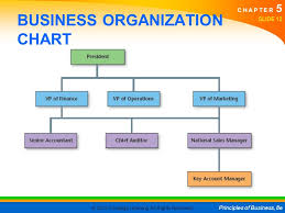 Sole Proprietorship Organizational Chart Trade Setups That